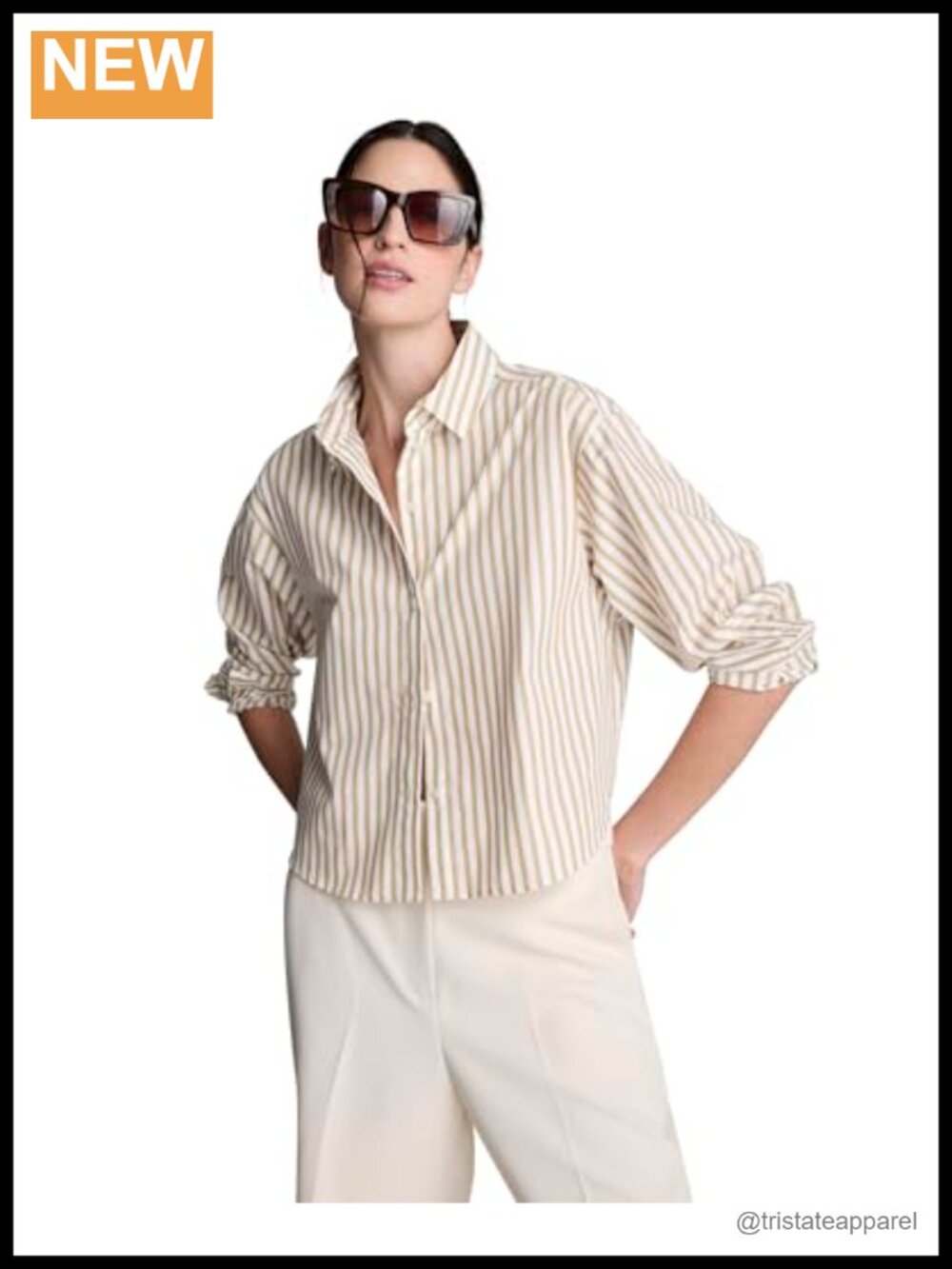 Pinstripe 100% Cotton Button Down Long Sleeve Shirt
